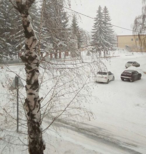 В Татарстане 9 февраля ожидается метель и похолодание до –17 °C