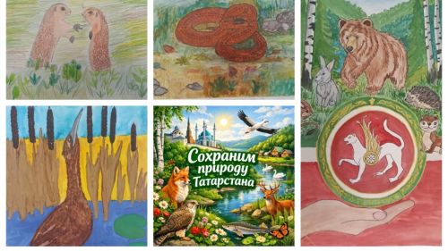 В Тетюшском районе завершился муниципальный этап конкурса «Сохраним природу Татарстана»