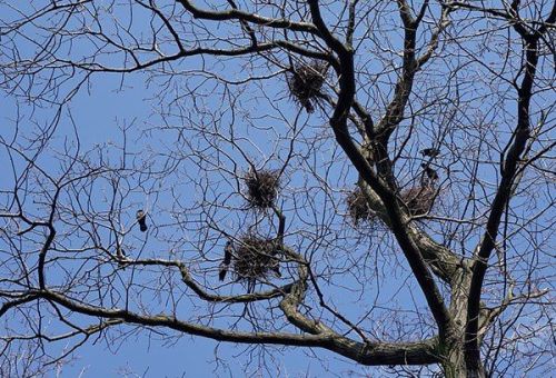 Прогноз погоды по Татарстану на 23 марта 2026 года