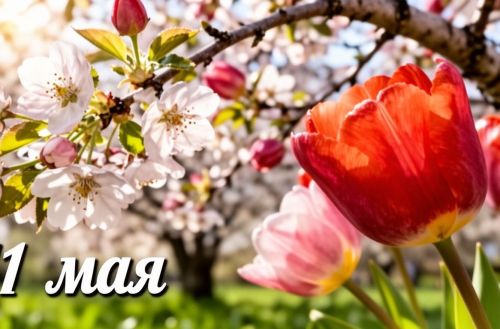 Рәмис Сафиуллов Тәтеш районы халкын бәйрәм белән котлый