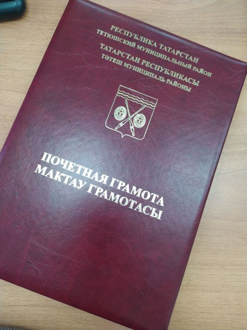 Почётная грамота за вклад в развитие спорта: награждён тренер Тетюшской спортшколы