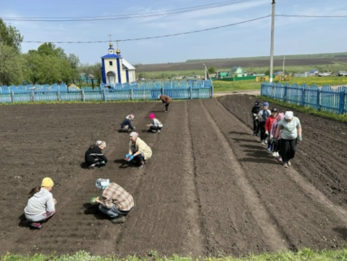 Ученики Киртелинской школы высадили овощи и плодовые культуры