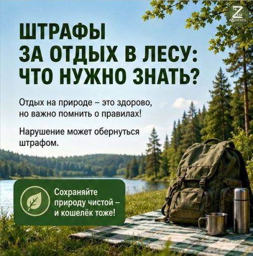 Штрафы за отдых в лесу: что нужно знать