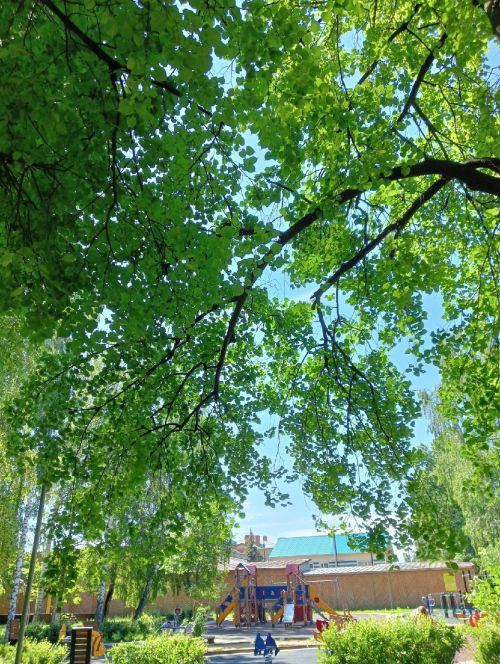 18 мая в Татарстане — до +33 °C, без осадков