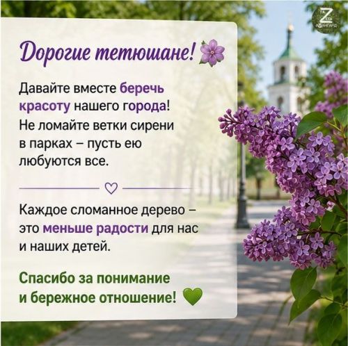 Цветение сирени: бережём красоту Тетюш