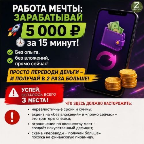 «Лёгкие деньги» в интернете часто оказываются опасной ловушкой
