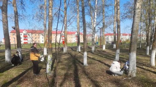 Активисты Форпоста провели акцию по уборке березовой рощи и памятника СВО