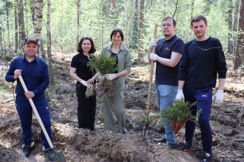 Сотрудники Госкомитета РТ по тарифам высадили более 1 000 елей в рамках акции «Сад памяти»