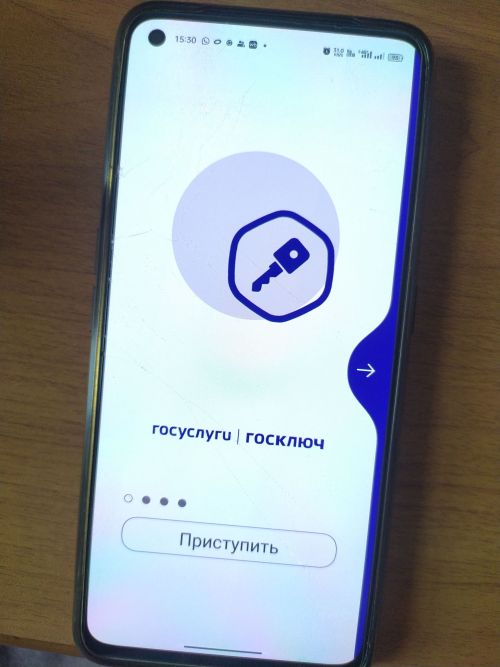 Популярность сервиса «Госключ» за год выросла в 1,5 раза