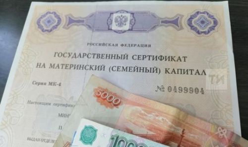 В Совете Федерации обсудили возможность тратить маткапитал на покупку автомобиля