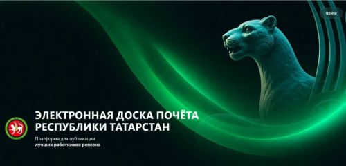 Минспорт Татарстана представил список кандидатов на электронную Доску почёта