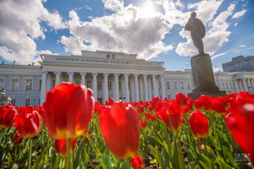 Прием заявлений на бюджет в российские вузы завершится 25 июля