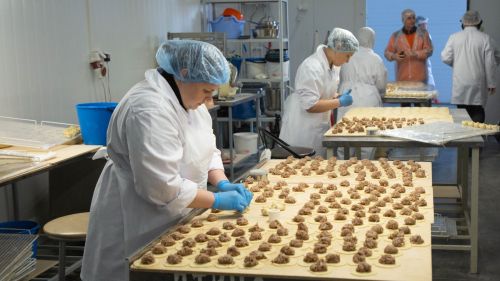 Минсельхозпрод Татарстана объявил отбор на гранты для начинающих сельхозкооперативов до 31 июля 2026 года