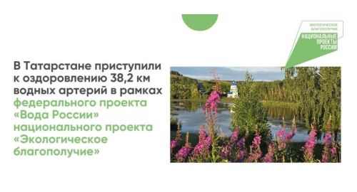 В Татарстане расчищают 38,2 км водных артерий: планы и текущие работы по оздоровлению рек