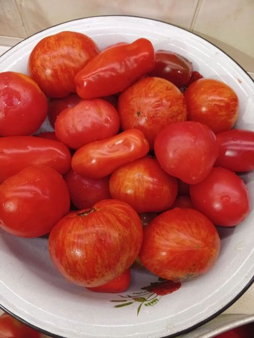 «Лечо» ясау рецепты