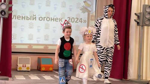 Стали известны итоги конкурса «Зелёный огонёк»