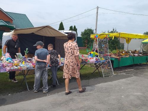 Кильдюшево. Праздник мордовской культуры "Валда шинясь"