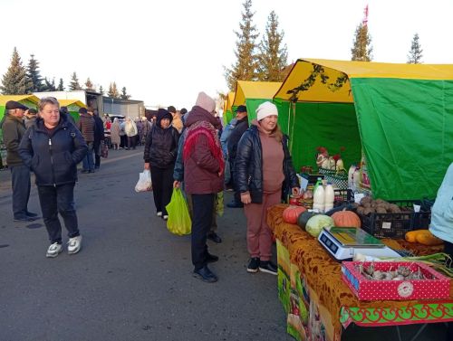 В Тетюшах прошла сельхозярмарка