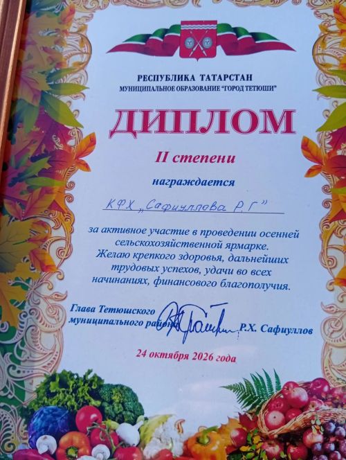 В Тетюшах прошла сельхозярмарка