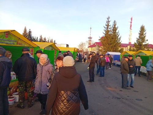 В Тетюшах прошла сельхозярмарка