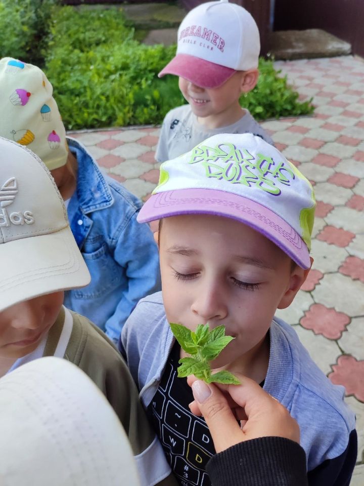 В детском саду «Колосок» прошла познавательная беседа «Секреты качественной сушки лекарственных растений»