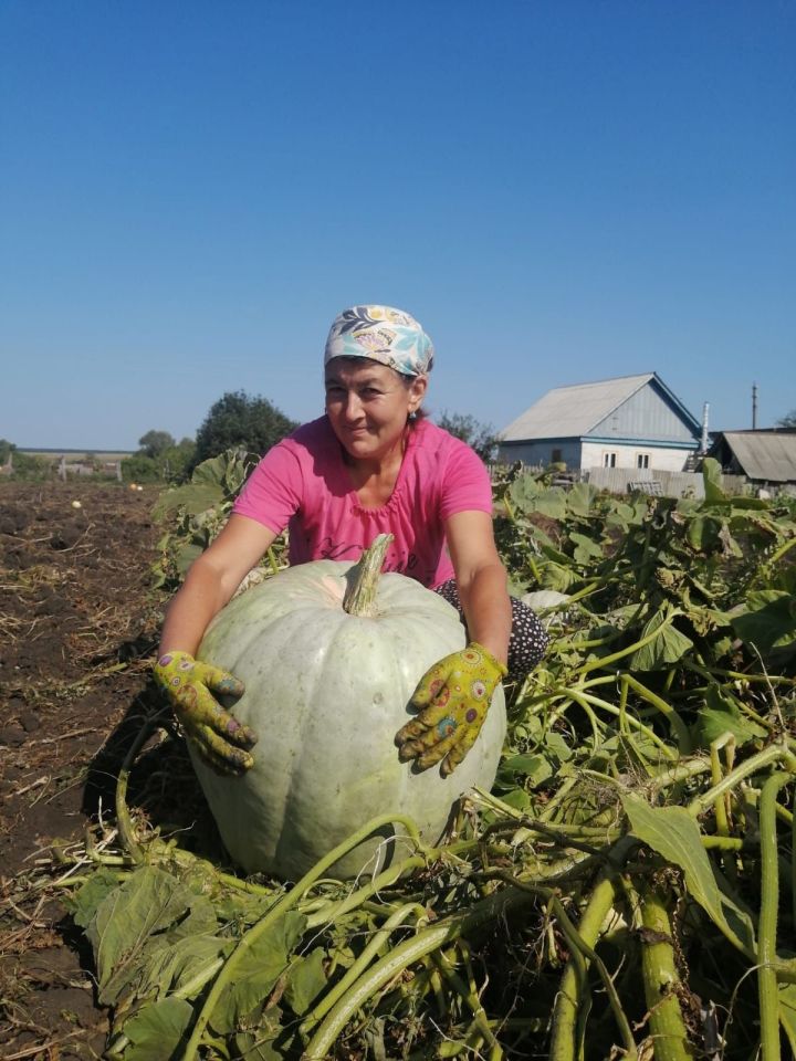 Рузиля Сулейманова. Мой урожай