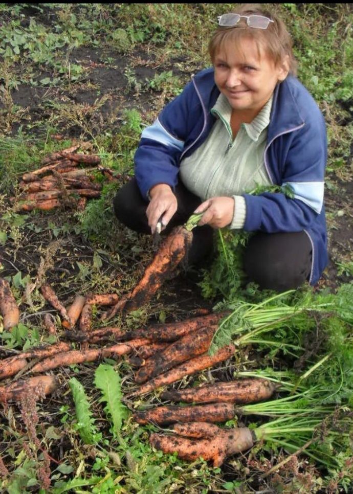 Светлана Камфарова. Дождей было мало, но урожай собрали