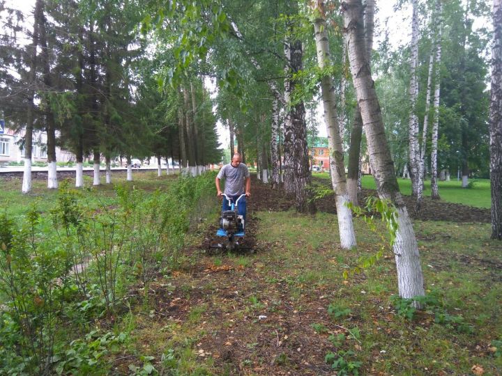 Тетюшский городской парк преображается