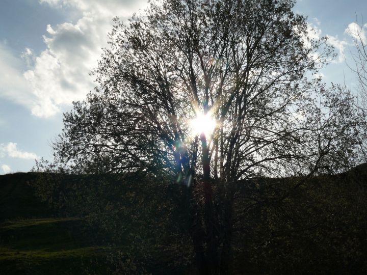 Творчество наших читателей. Весенняя ночь