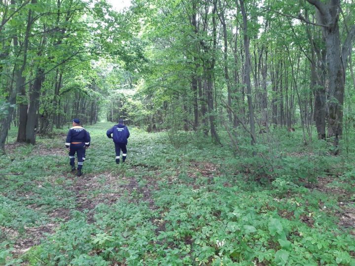 В Татарстане пожилой мужчина почти сутки плутал в лесу