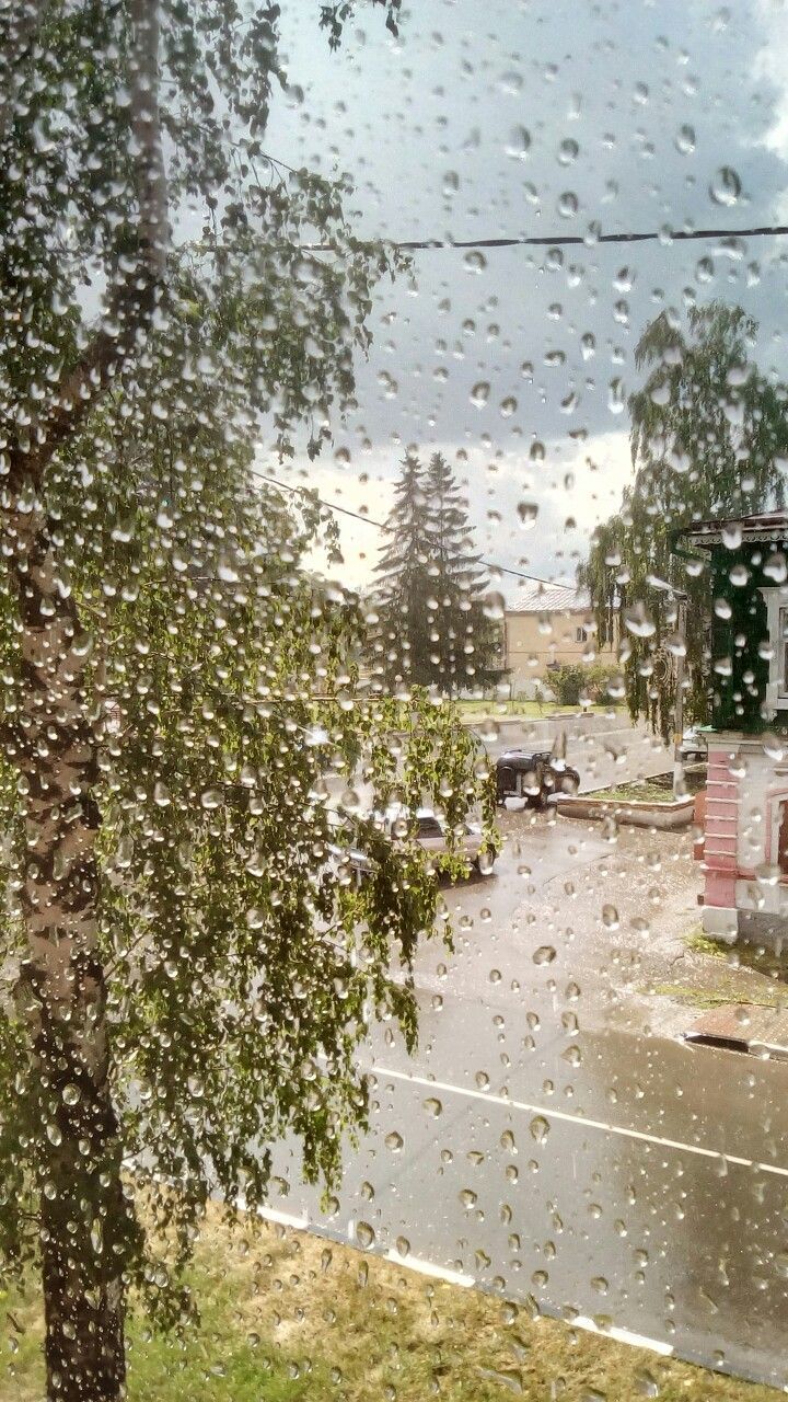 Прогноз погоды по Тетюшскому району на 3 июля