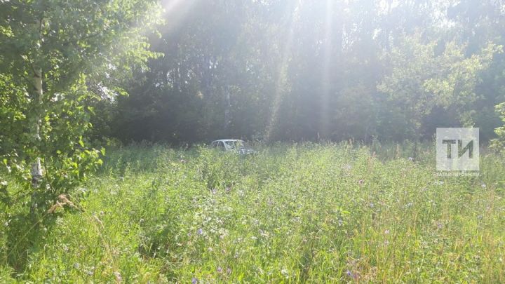 В Татарстане пожилой мужчина три часа плутал по лесу и не мог найти дорогу к машине