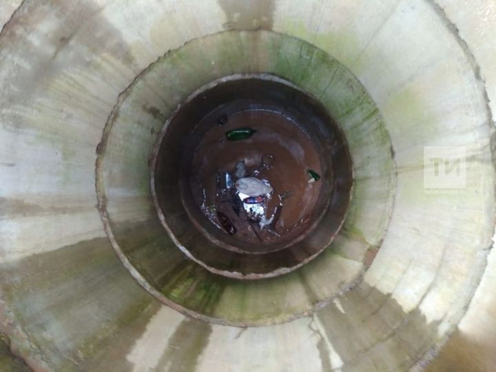В Татарстане сотрудники МЧС спасли гуся, который упал в глубокий колодец