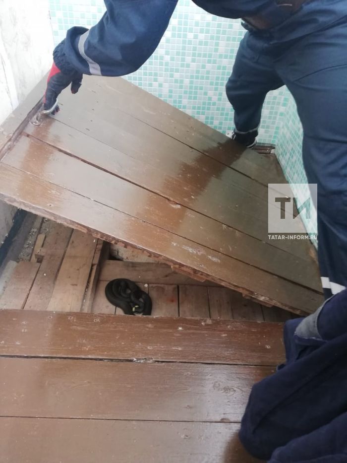 В Татарстане сотрудники МЧС освободили балкон от заползшей змеи