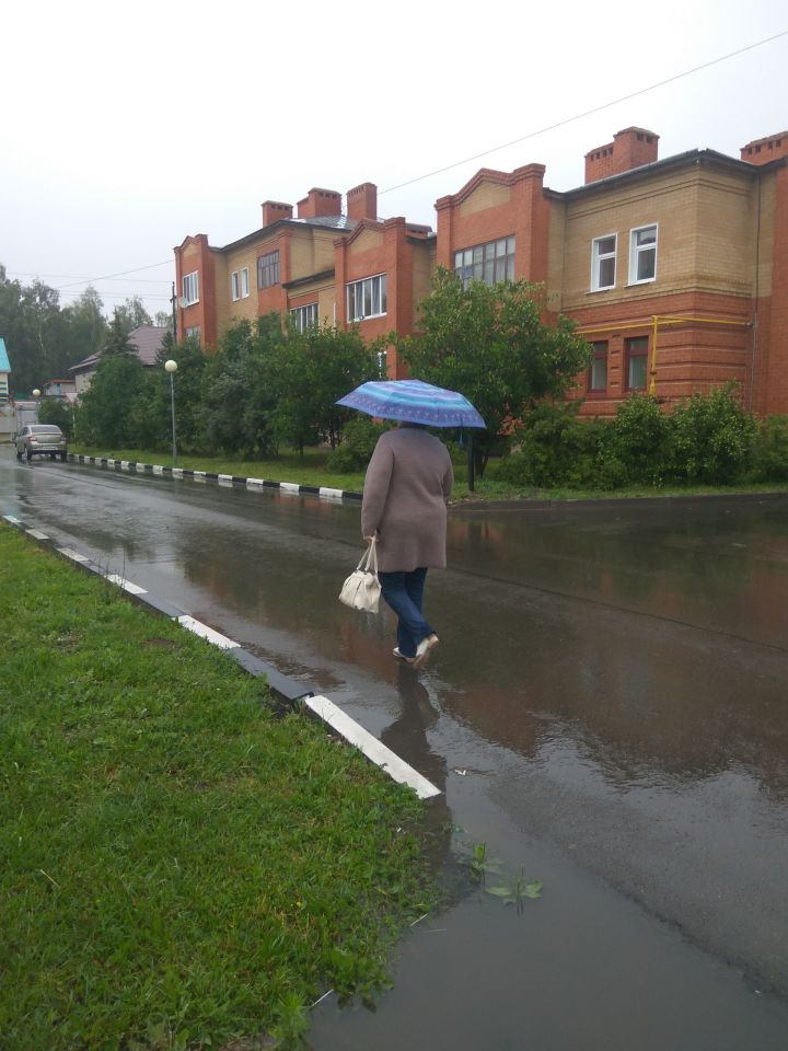 В Гидрометцентре России предупредили о затяжных дождях