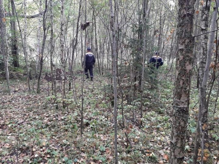 В Татарстане спасатели в течении двух часов искали грибников