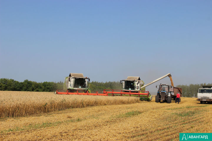 В Татарстане аграрии собрали более пяти млн тонн зерна