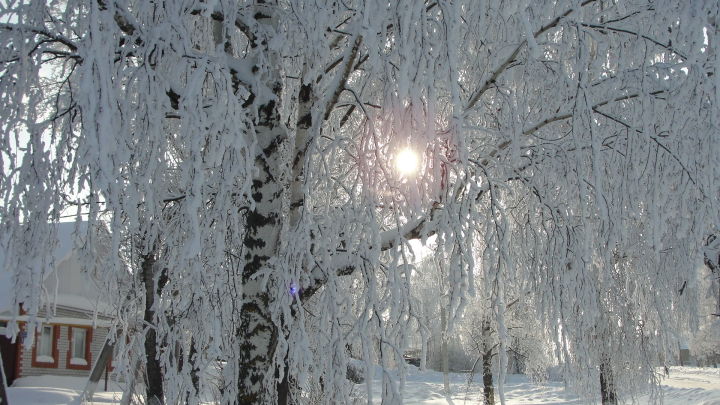 По Татарстану в ближайшие сутки ожидается понижение температуры воздуха до - 32 градусов