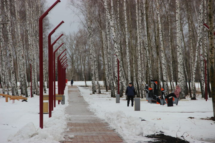 Тетюшане в парке Победы любуются природой,  занимаются спортом