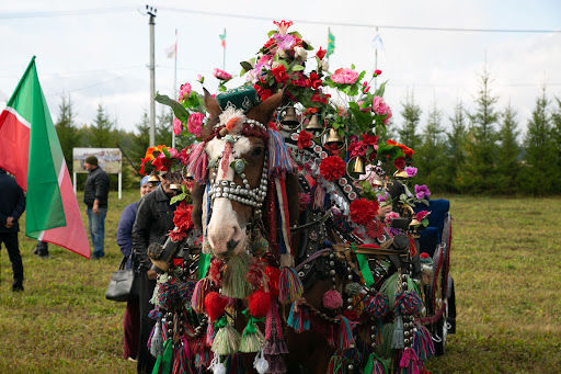 В Арском районе РТ состоится конно-спортивный праздник «День коня»