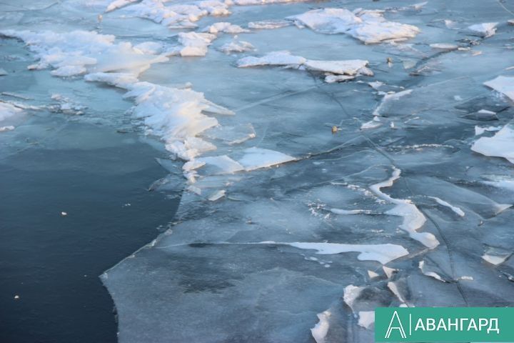В Татарстане заметили детей, гуляющих по тонкому льду пруда