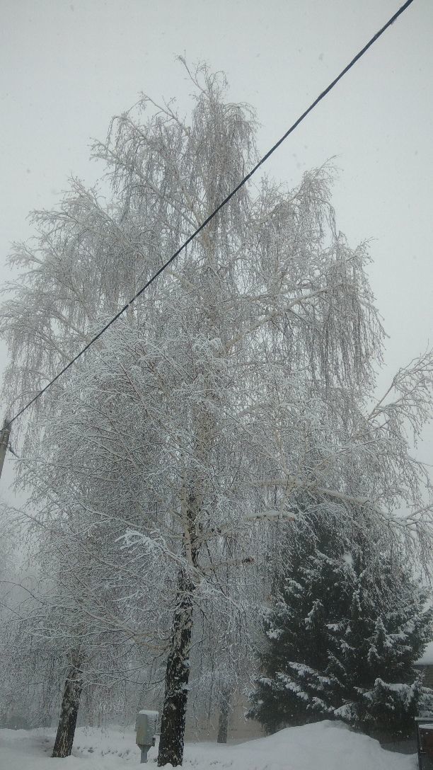 Трассы Татарстана закрыты для движения автобусов из-за снегопада