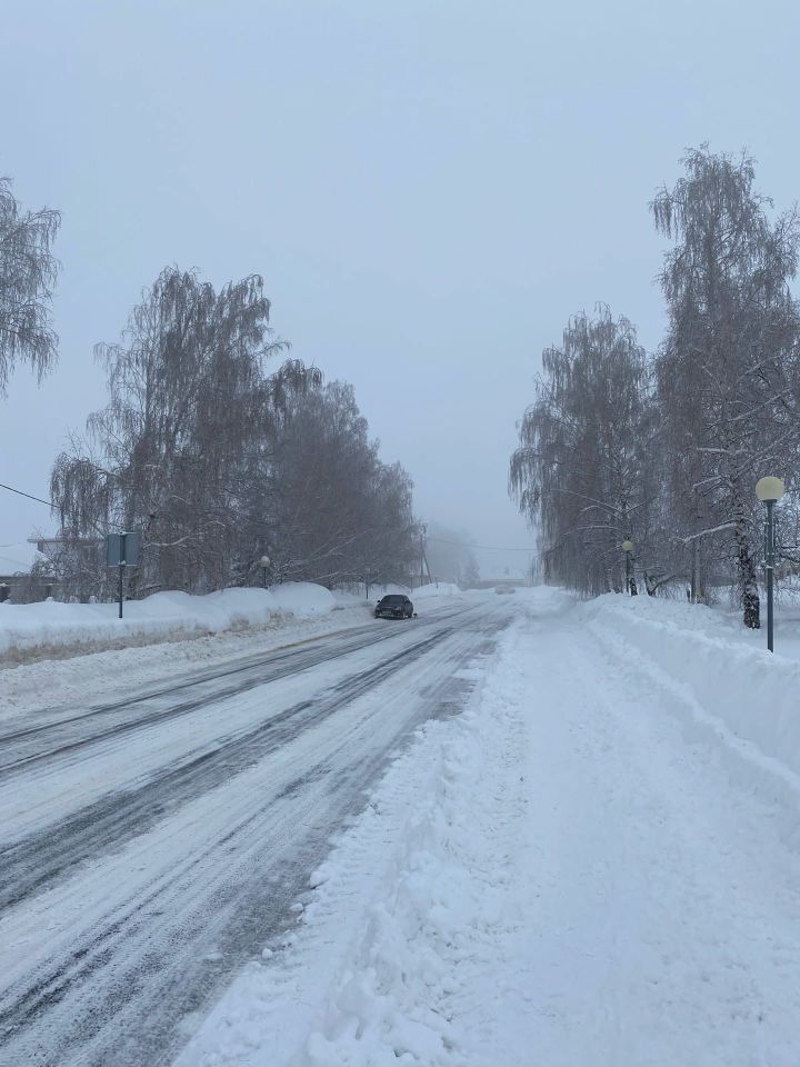 Жителей Татарстана попросили помочь с уборкой снега