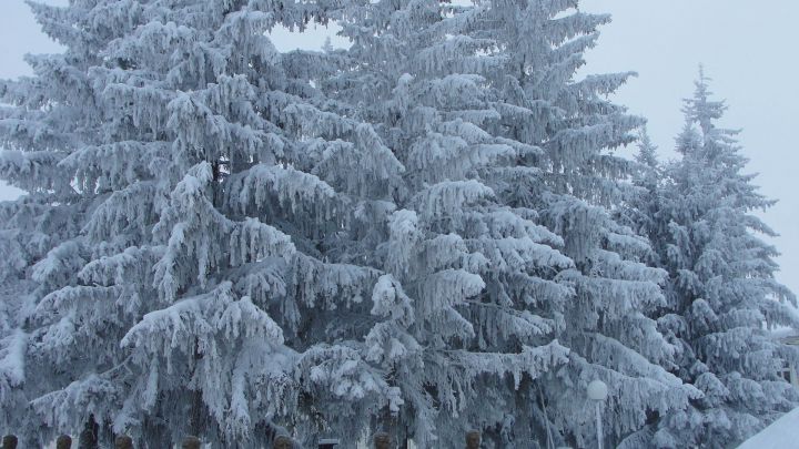 Метеоролог КФУ сообщил, что таких сильных морозов в Татарстане не было 36 лет