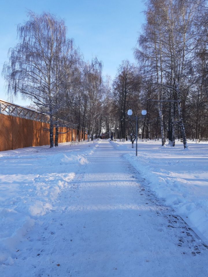 В Татарстане 16 января ожидается от 13 до 8 градусов мороза