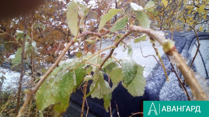 В Тетюшах 9 ноября прольется дождь