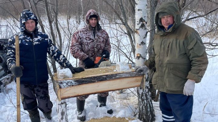 Чем сотрудники охотничьих хозяйств в РТ подкармливают лосей, косуль и зайцев