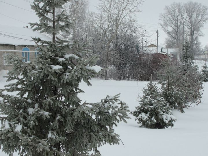Татарстанские метеорологи сообщили об ухудшении погоды 23 февраля