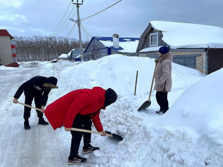 Активисты «Форпоста» оказали помощь в уборке снега
