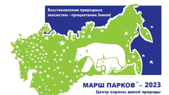 Татарстанские школьники могут участвовать в Международной акции «Марш парков-2023»